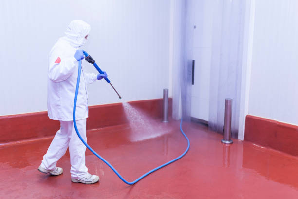 Reliable Savage, MN Pressure Washing Services Solutions